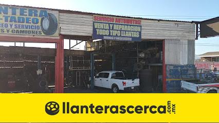 Llantera Tadeo Baja en Ensenada